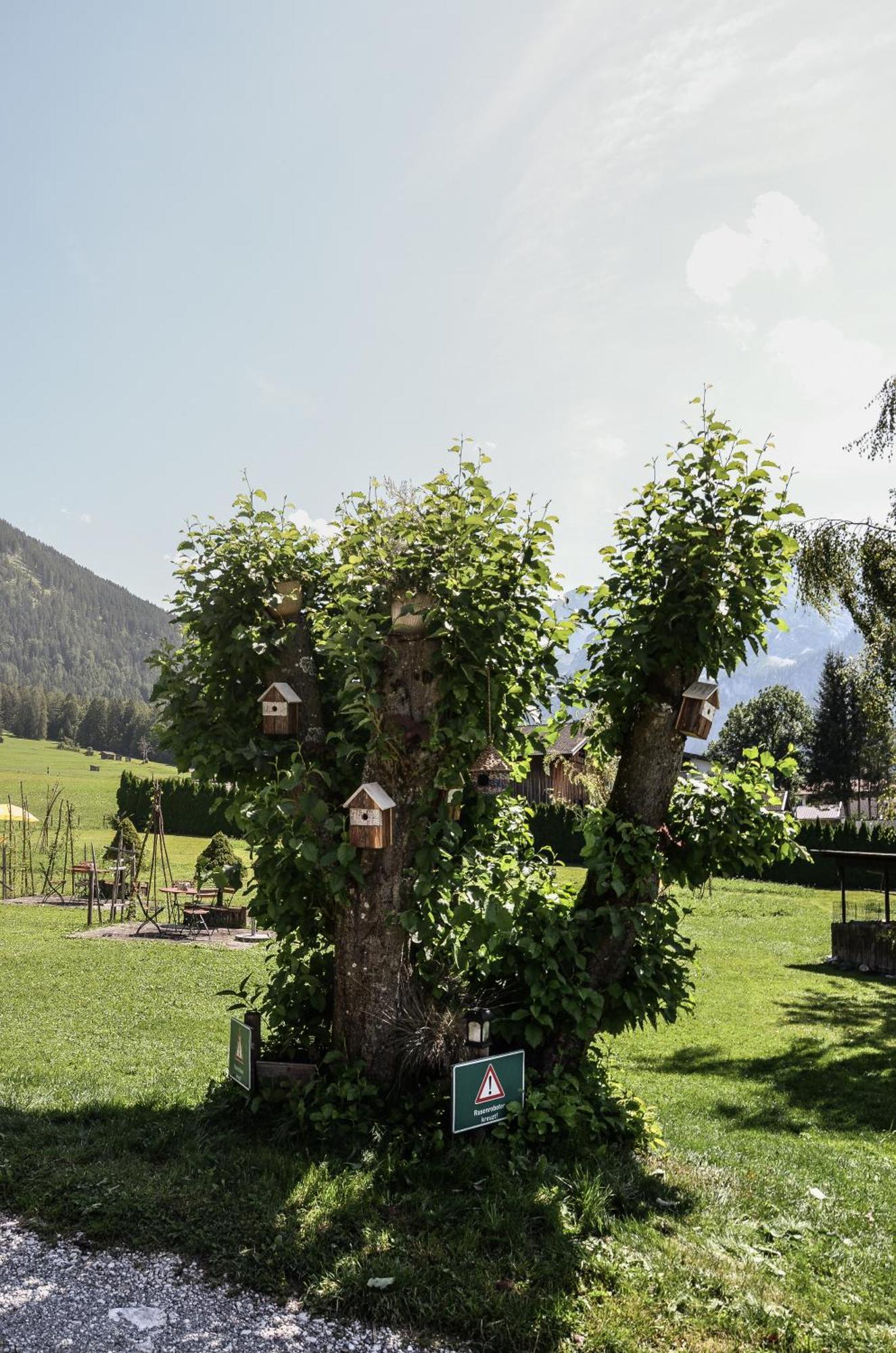 Hotel Ehrwalderhof Dış mekan fotoğraf